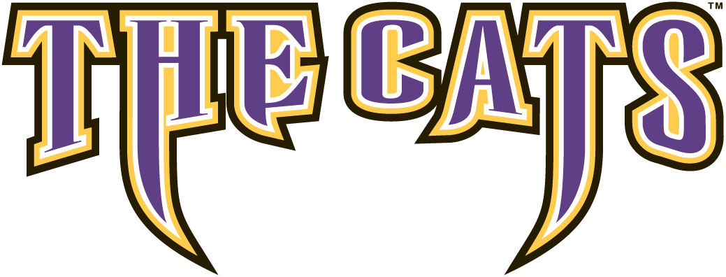 Western Carolina Catamounts 1996-2007 Wordmark Logo v4 iron on transfers for T-shirts